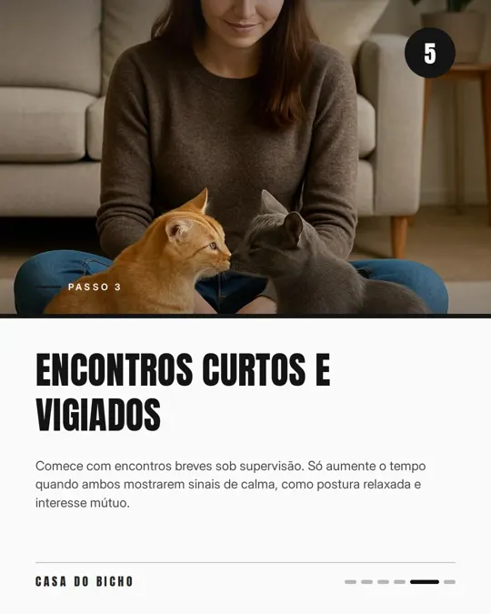 Slide 5 de 6