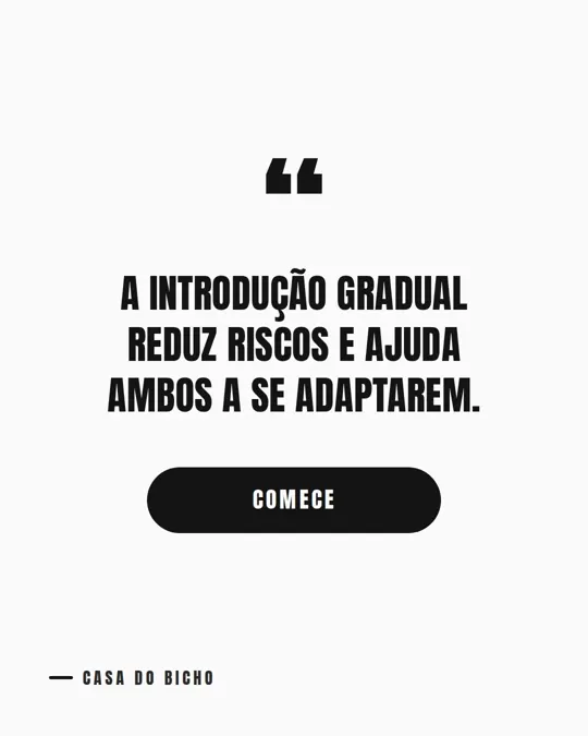 Slide 6 de 6